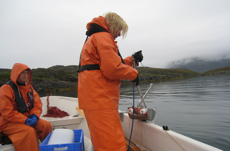 Forskaren Ingela Dahllöf drar upp sedimenthuggaren med prov från havets botten. Foto: Maria Granberg