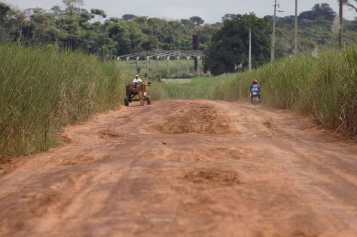 Dominioeffekt. Brasilien har producerat etanol från sockerrör sedan 1970-talet och på senare år har odlingsarealen ökat kraftigt. Industrin förnekar dock att produktionen skulle hota regnskogen. Foto: Nicolas Desagher / Azote