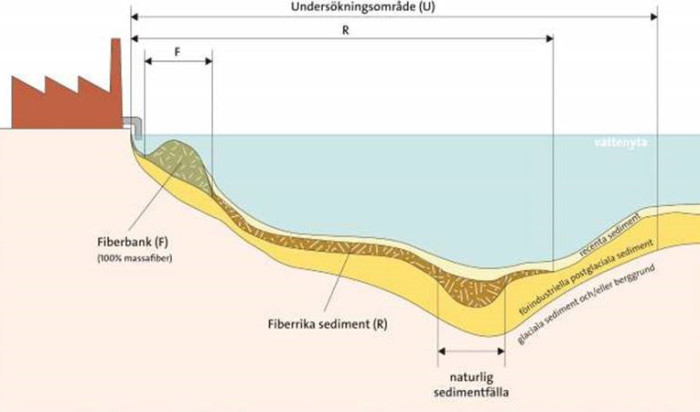 En fiberbank är ett sedimentlager som nästan uteslutande är uppbyggt av fibrer. Den finns ofta nära utsläppskällan och har många gånger en uppstickande form under vattenytan. Fiberrika sediment är bottenområden med naturliga sediment som har ett tydligt innehåll av fibrer eller trä- och bark. Fiberrika sediment är ofta utspridda över en större yta än fiberbankar och de kan hittas längre bort från utsläppskällan. Källa: SGU