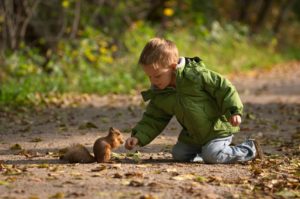 Vad är det ekonomiska värdet av att en liten pojke och en ekorre kan träffas ii skogen.