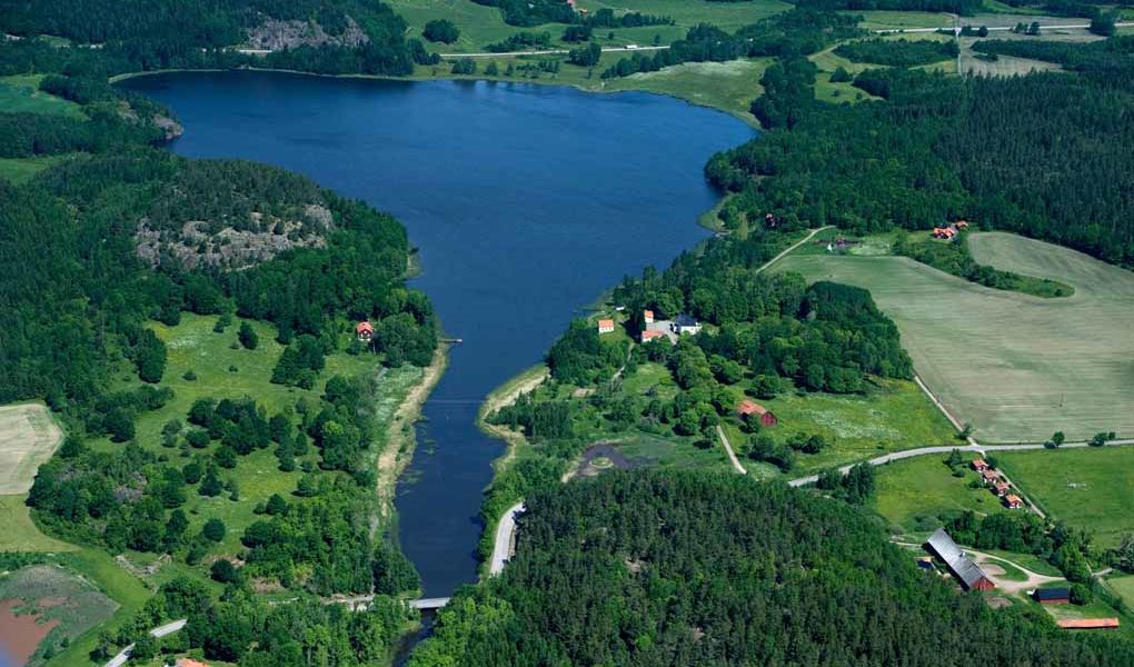 Dynestadsjön har kollapsat