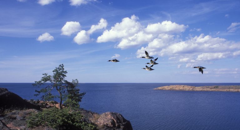 Saltvatten väller in i Östersjön