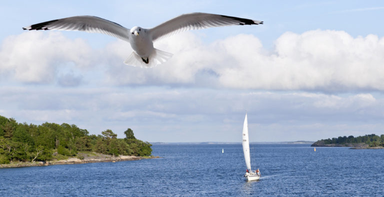 Östersjön mår bättre