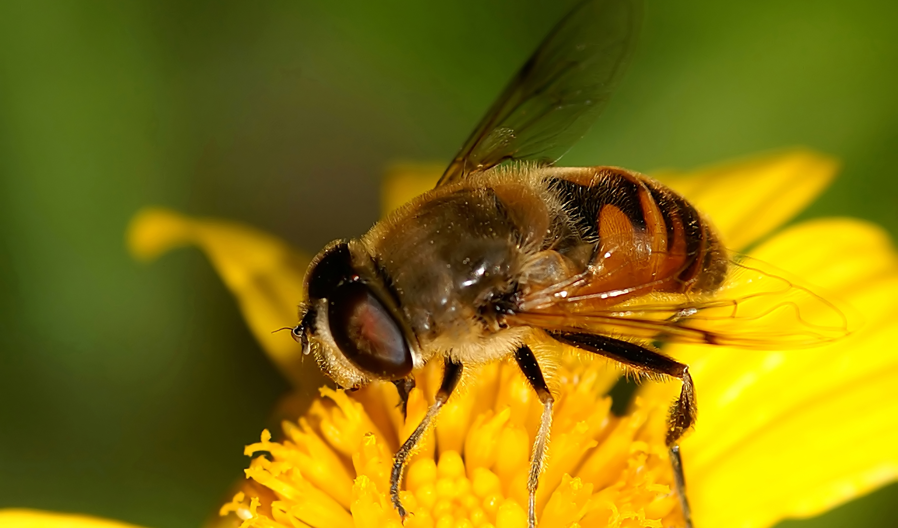 Oshxonada gozal qiz bilan porno