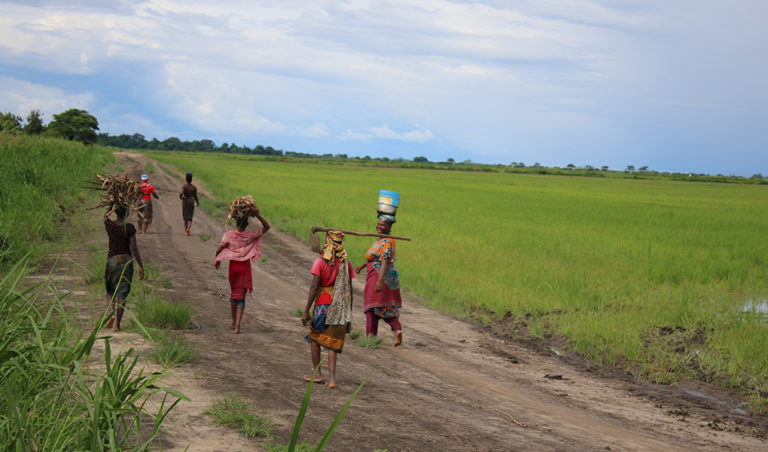 Bönder på väg till risfält