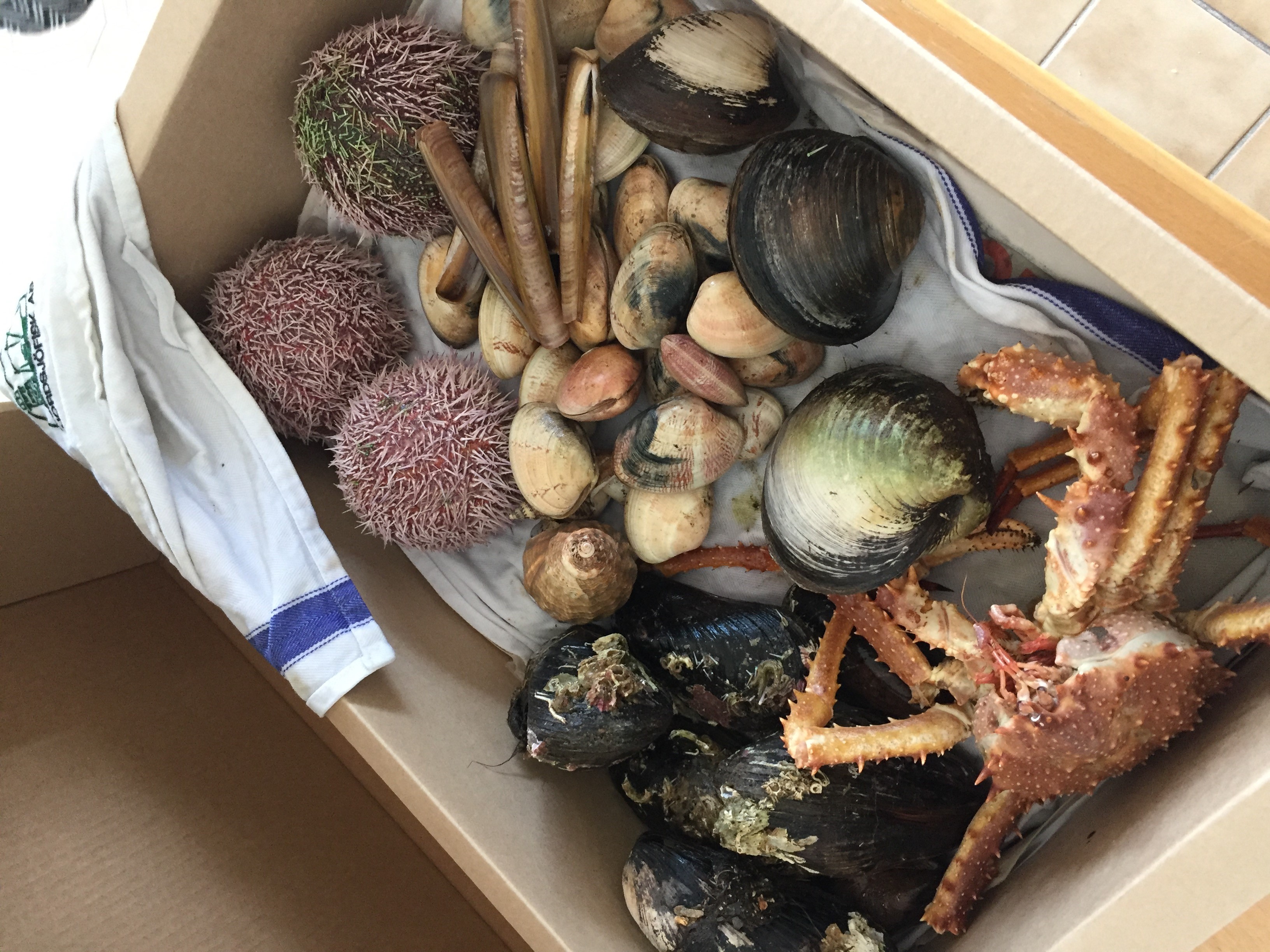Scary seafood - Forskare utmanar matvanor | Tidningen Extrakt