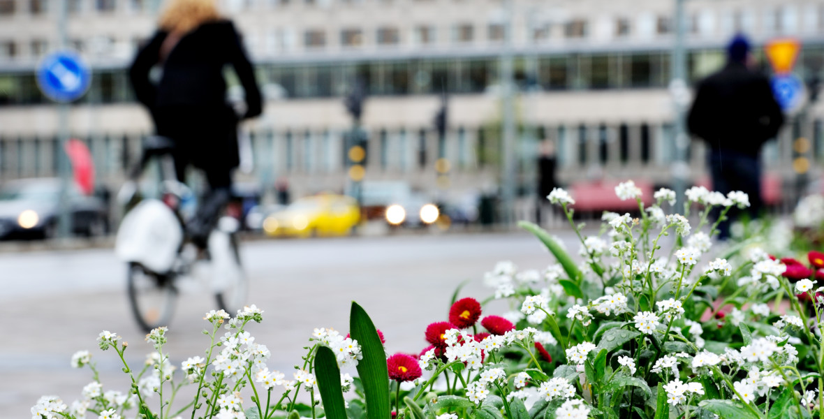 Blommor stadsmiljö