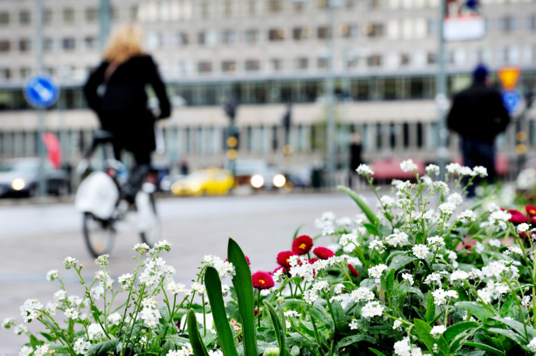 Blommor stadsmiljö