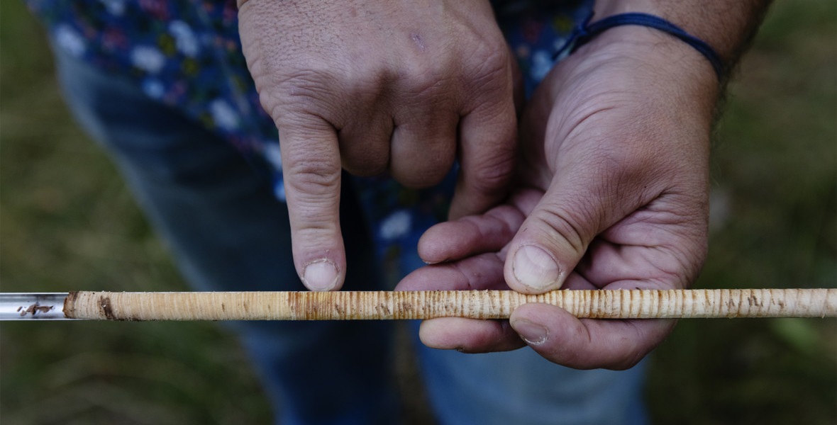 Lägger tusenårigt pussel med hjälp av trädens årsringar | Tidningen Extrakt