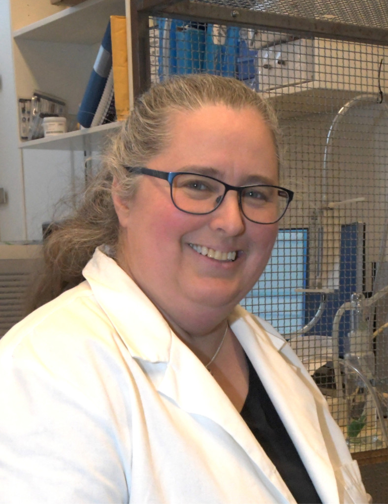 Vill hitta effektiva myggfällor Tidningen Extrakt