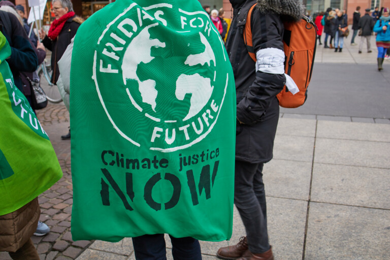 Fridays for future