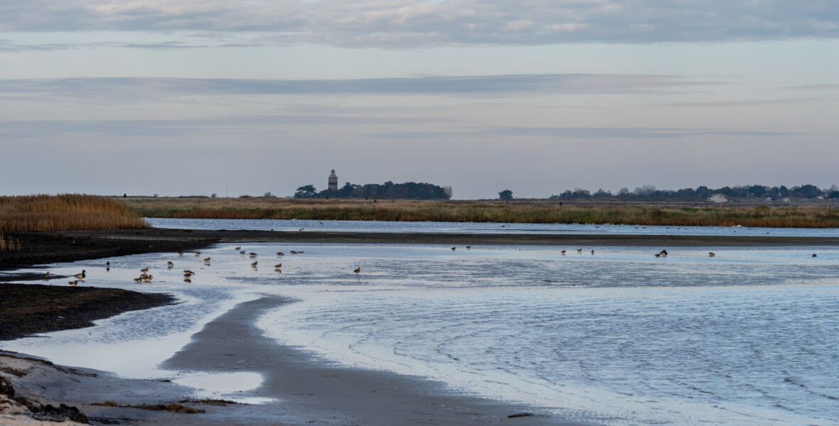 Falsterbo