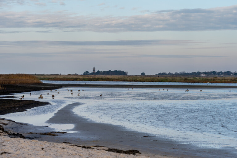 Falsterbo