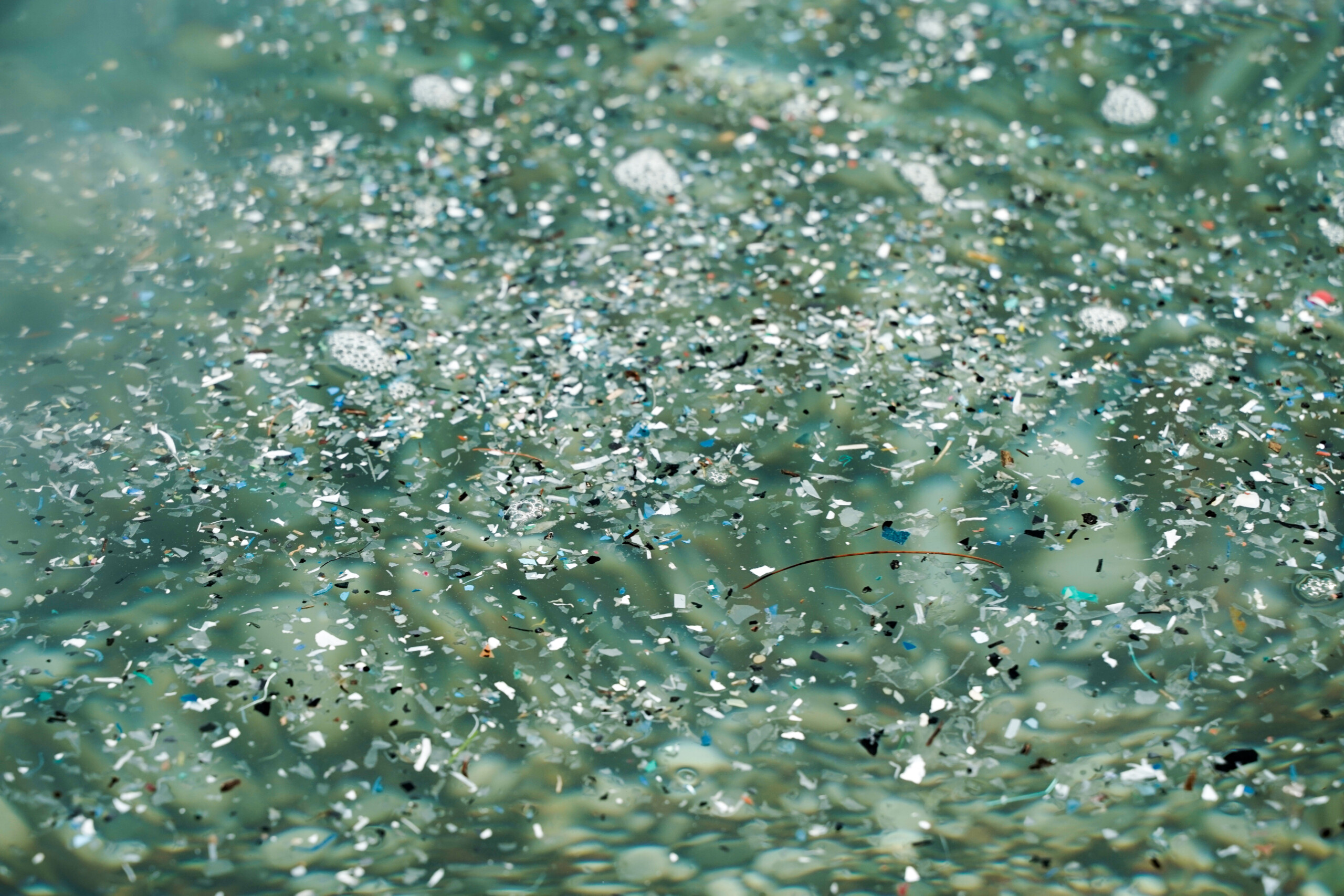 Navigating the Changing Landscape of Plastics and Microplastics Policy