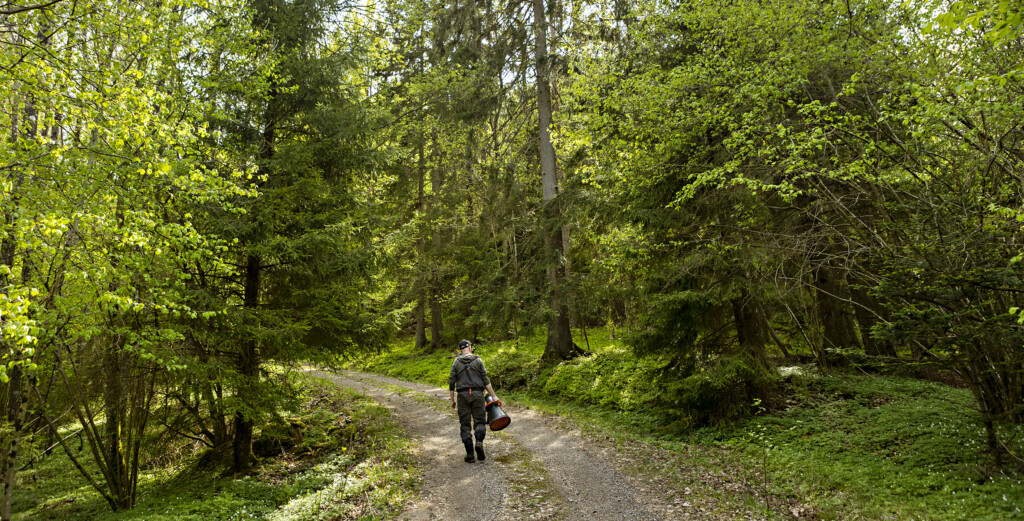 Vättlefjälls naturreservat