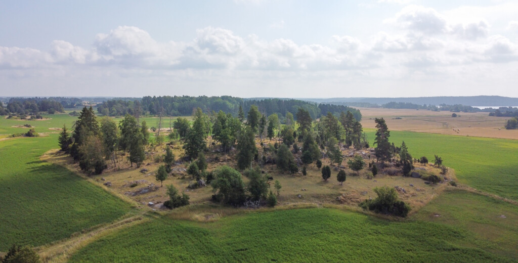 Ängsmark Uppsala