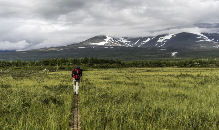 Svenska fjällen