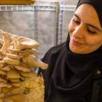 Asmaa Al-Abbasi