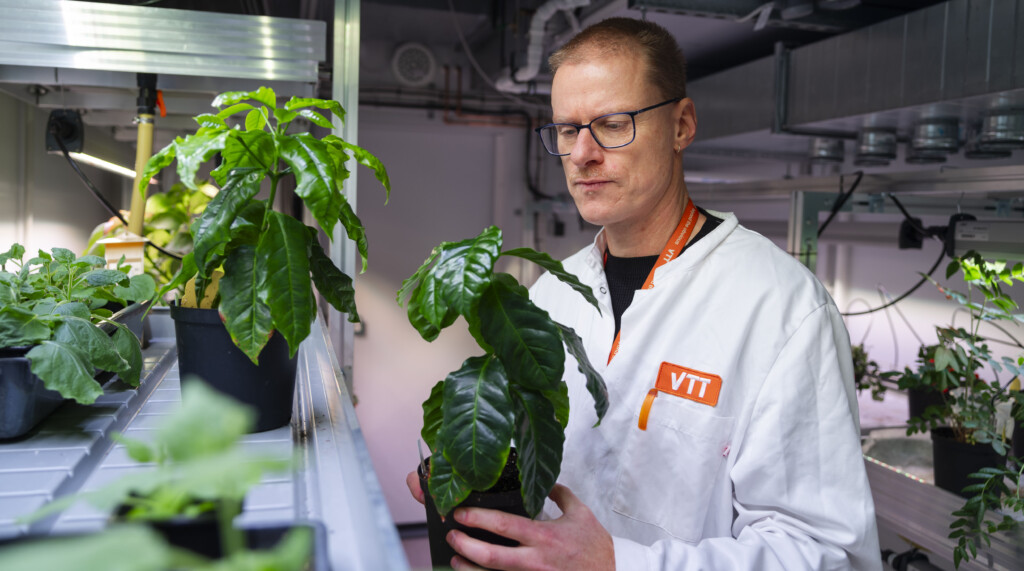 Heiko Rischer
