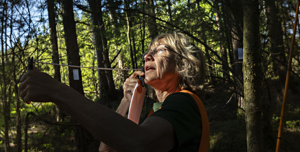 Haidi Andersson mäter hur tät skogen är