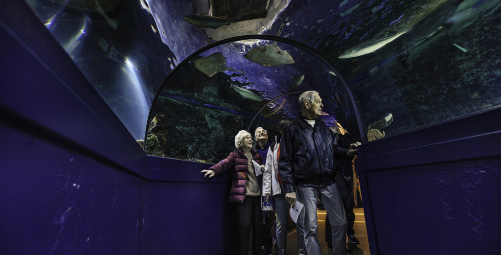 Tunnelakvarie havets hus