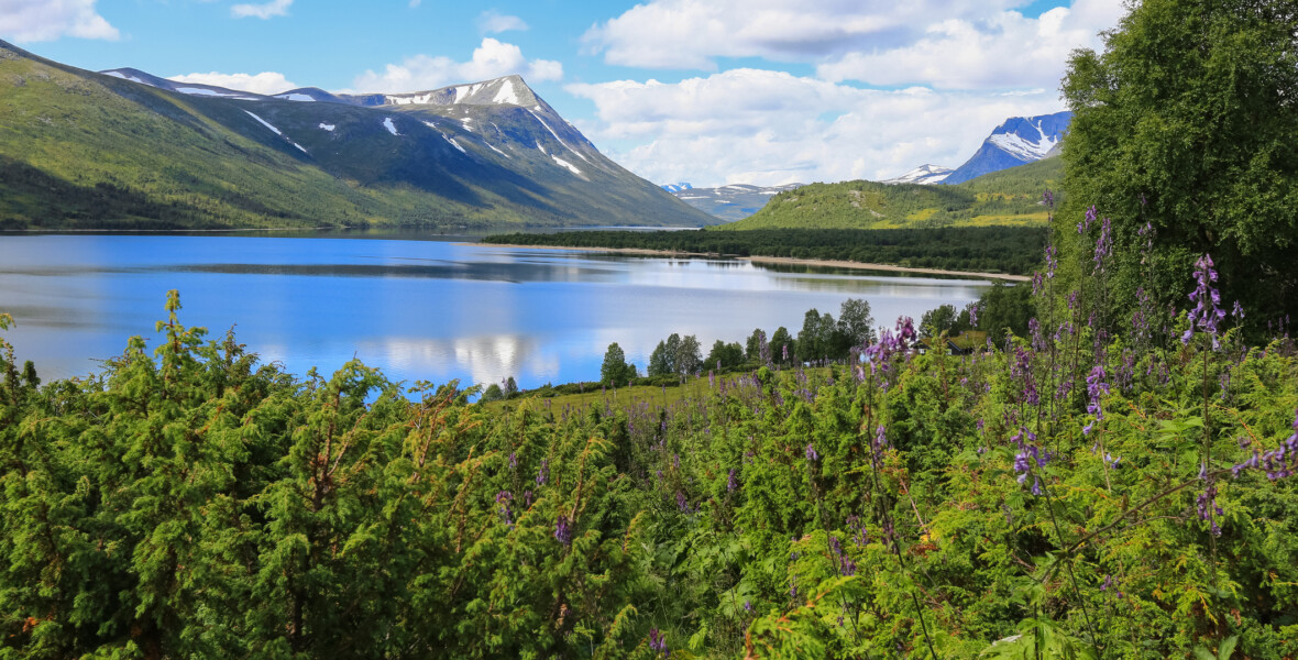 Sjö omgiven av skog och berg