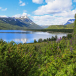 Sjö omgiven av skog och berg