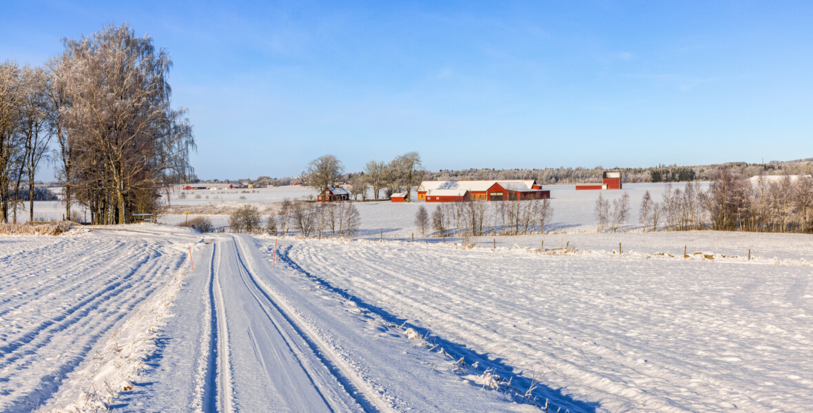 Väg med snö