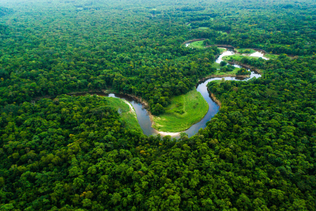 Amazonas