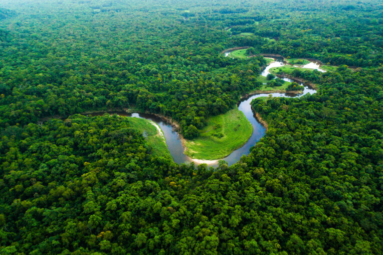 Amazonas