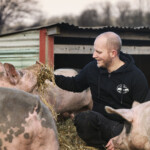 Två personer sitter tillsammans med tre grisar