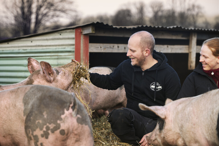 Två personer sitter tillsammans med tre grisar