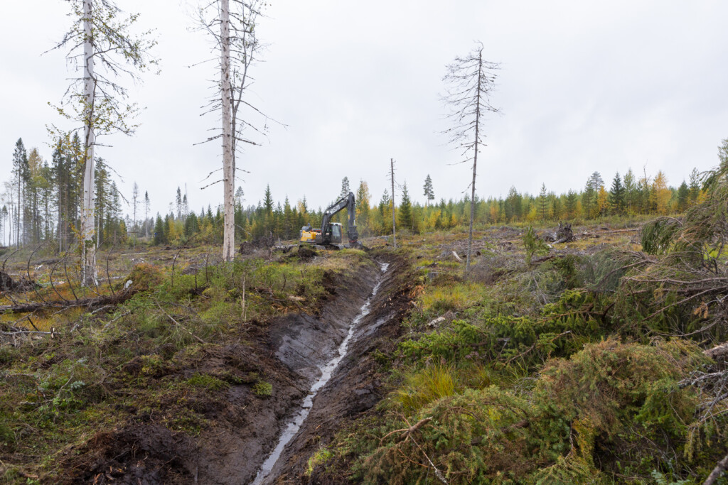 Grävmaskin rensar dike