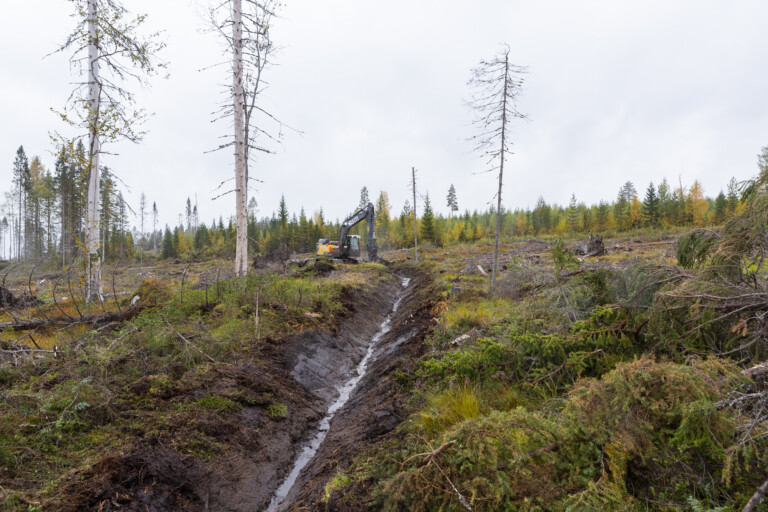 Grävmaskin rensar dike