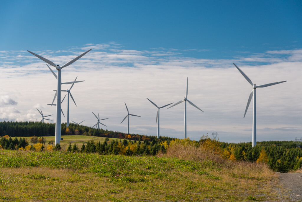 Vindkraftspark vid skog