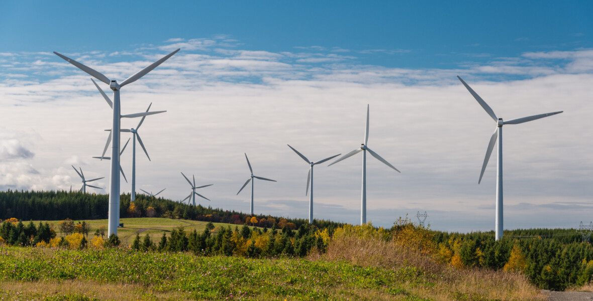 Vindkraftspark vid skog