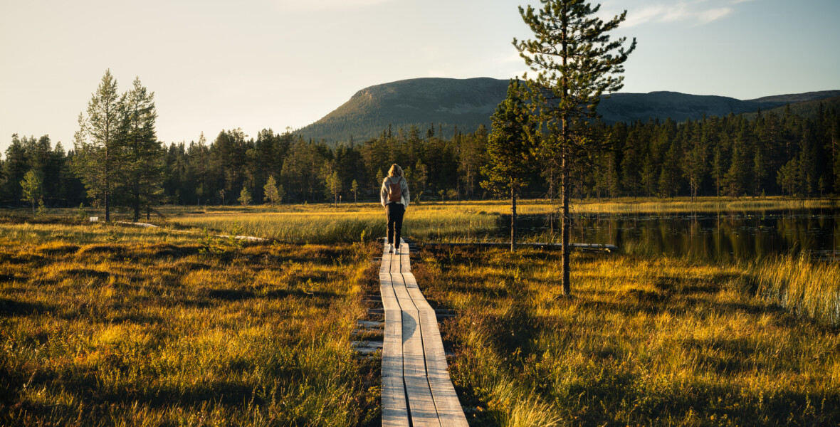 Kvinna går på en spång i naturen