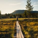 Kvinna går på en spång i naturen