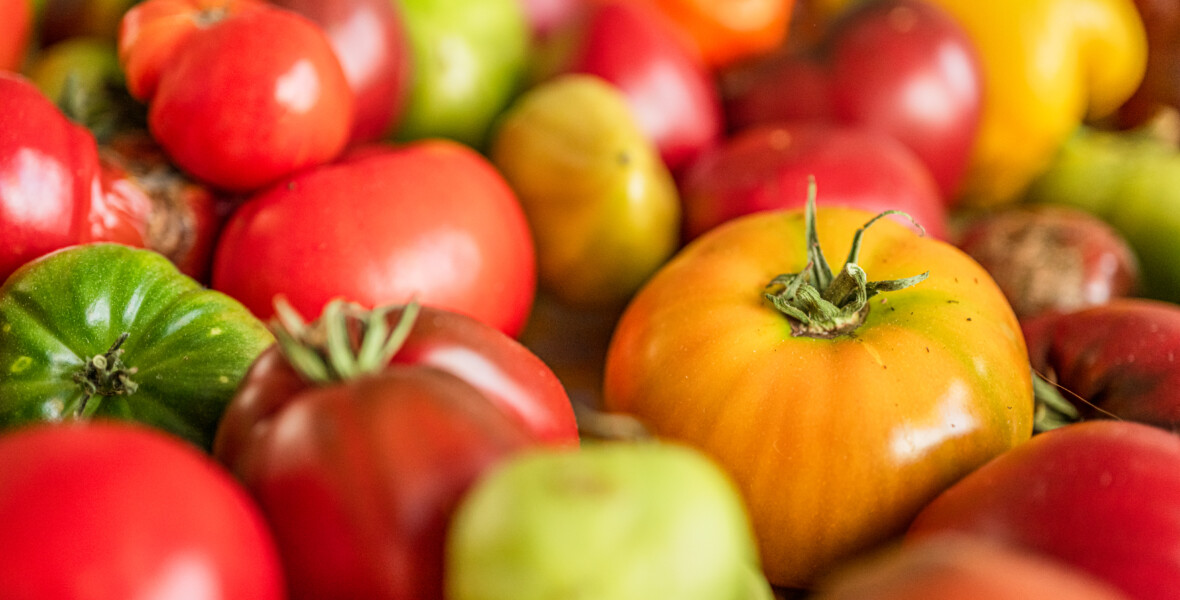 Tomater i olika former