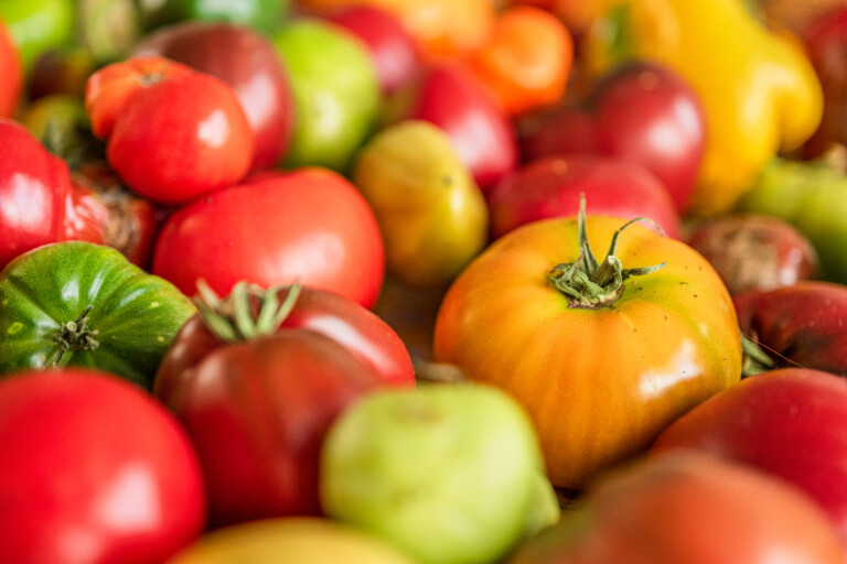 Tomater i olika former