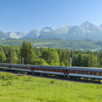Tåg åker genom naturlandskap