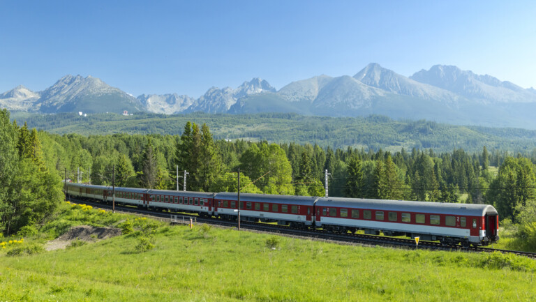 Tåg åker genom naturlandskap
