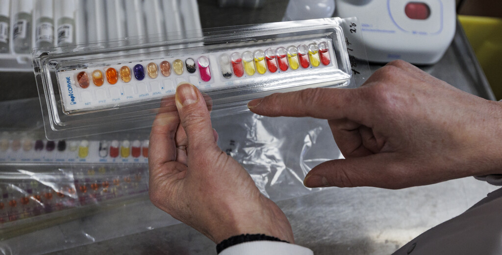 API-kit liknar ett nagellacksprov med färger