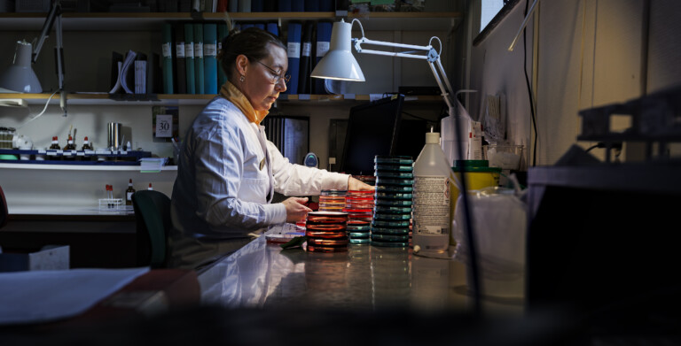 Susanne Jensie Markopoulos