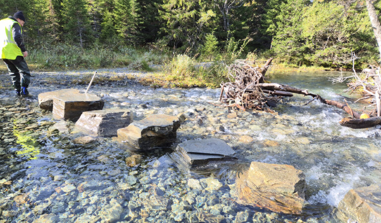 Stora stenar över ett vattendrag