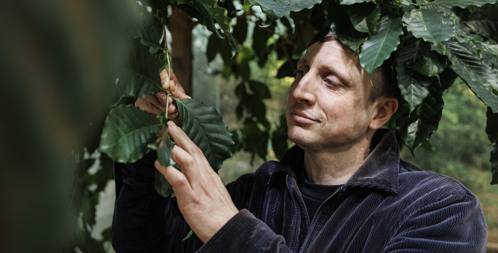 Olle Threborn vid en kaffeplanta.