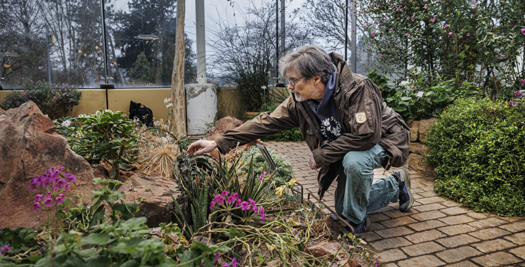 Forskaren Sven Isaksson visar en växt