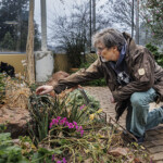 Forskaren Sven Isaksson visar en växt