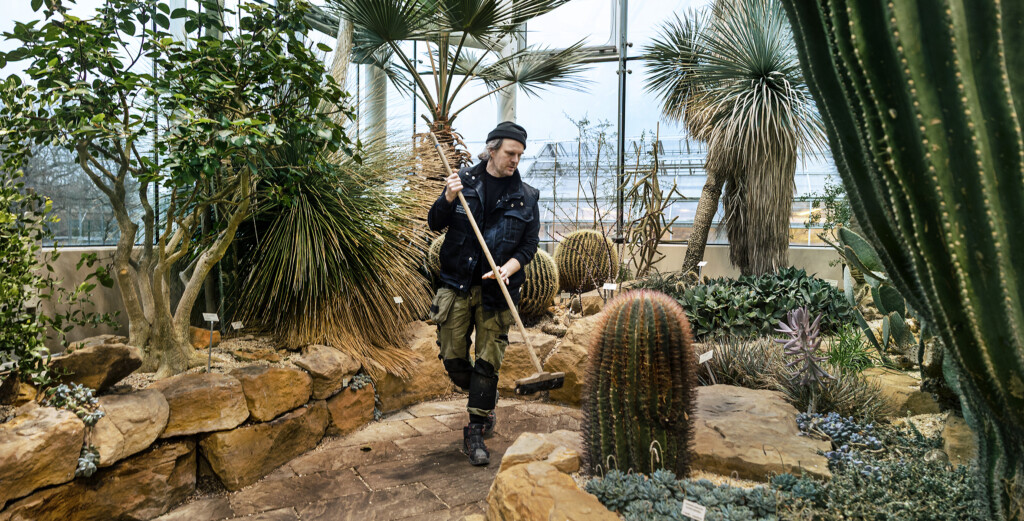 Person sopar inne i växthuset.