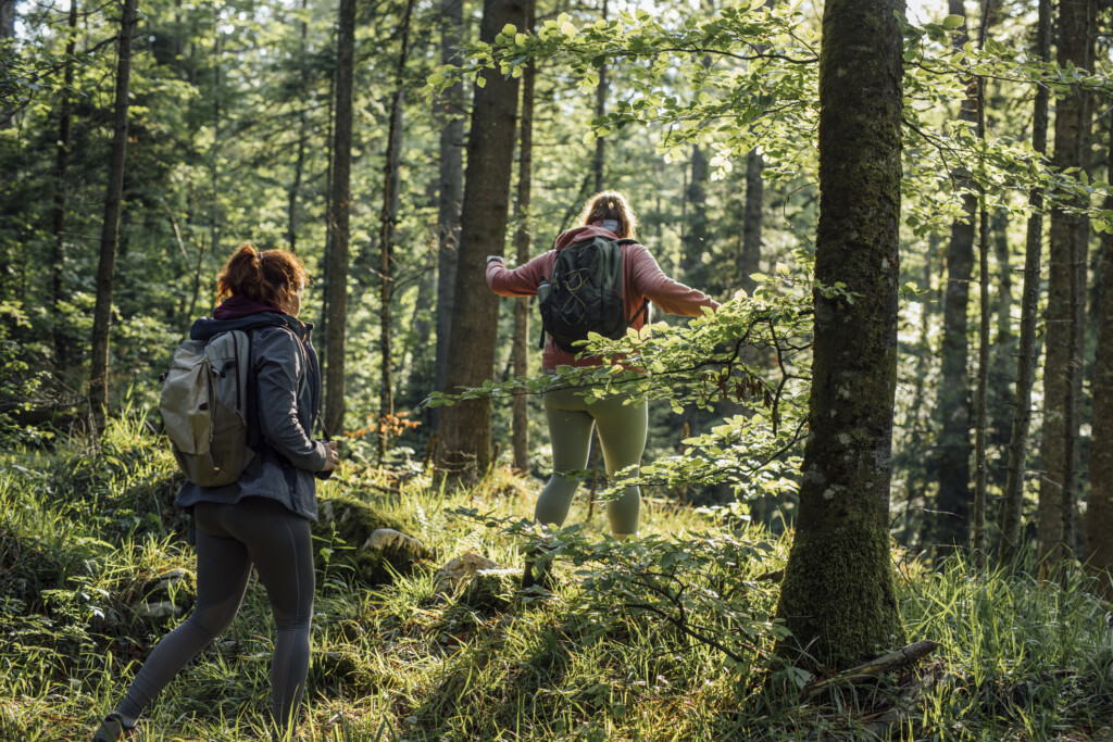 Två kvinnor går i skogen